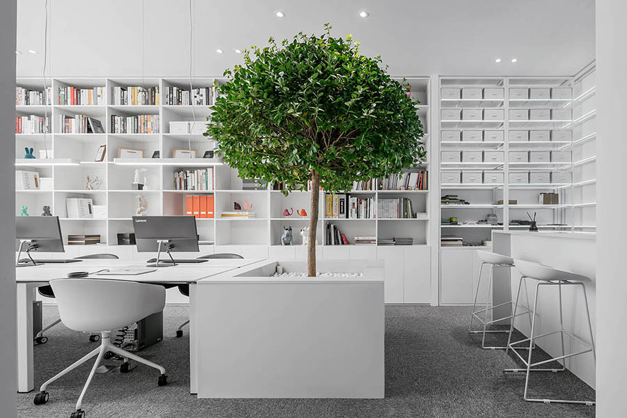 thiết kế cây xanh trong văn phòng làm việc